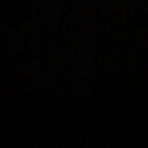 Meet your Posher, Tyrus